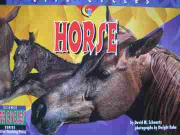(image for) Science Series Life Cycles Horse (P) by David M Schwartz