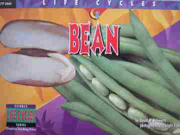 (image for) Science Series Life Cycles Bean (P) by David M. Schwartz