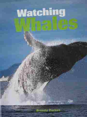 (image for) Discovery Links Watching Whales (P) by Brenda Parkes