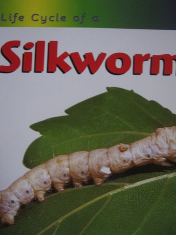 (image for) Life Cycle of a Silkworm (P) by Ron Fridell & Patricia Walsh
