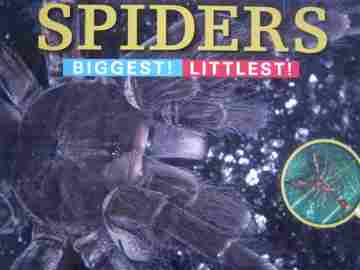 (image for) Spiders Biggest! Littlest! (P) by Sandra Markle
