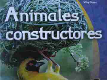 (image for) Twig Science K.4 Espanol Animales constructores (P) by Blevins