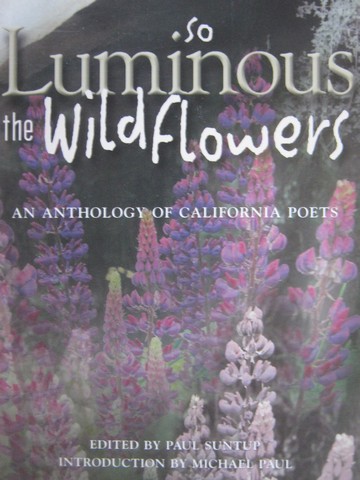 (image for) So Luminous the Wildflowers (P) by Paul Suntup