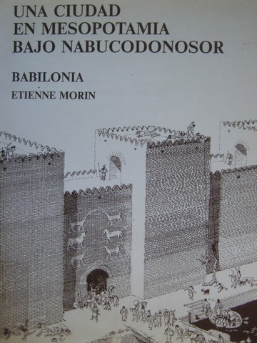 (image for) Una ciudad en mesopotamia bajo Nabucodonosor Babilonia (P)
