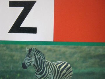 (image for) PM Collection z (P) by Beverley Randell
