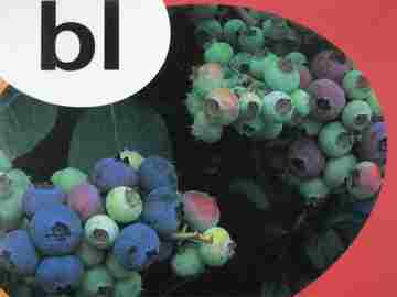 (image for) Rigby PM Collection Alphabet Blends bl (P) by Beverley Randell