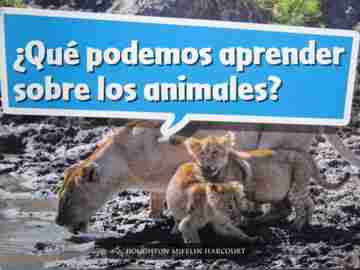 (image for) Que podemos aprender sobre los animales? (P)