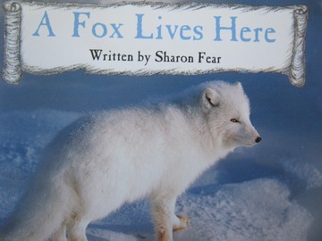 (image for) Ready Readers Stage 4 A Fox Lives Here (P) by Sharon Fear