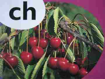 (image for) Rigby PM Collection Alphabet Blends ch (P) by Beverley Randell