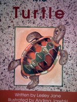 (image for) Foundations D The Turtle (P) by Lesley Jane