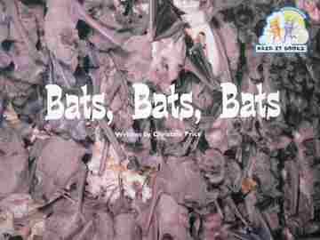 (image for) Pair-It Books Bats Bats Bats (P) by Christine Price