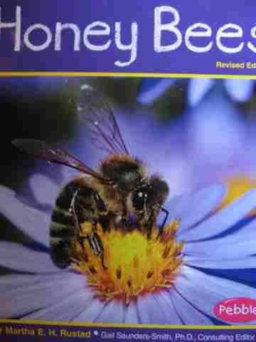 (image for) Honey Bees Revised Edition (P) by Martha E H Rustad