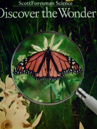 (image for) Discover the Wonder Grade 1 (H) by Heil, Allen, Cooney,