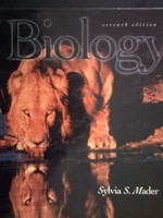 (image for) Biology 7th Edition (H) by Sylvia S Mader