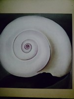 (image for) Biological Science 3rd Edition (H) by William Keeton