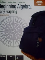 (image for) Beginning Algebra Early Graphing 2nd Edition AIE (TE)(P)