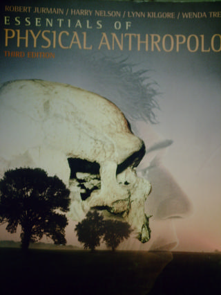 (image for) Essentials of Physical Anthropology 3rd Edition (P) by Jurmain,