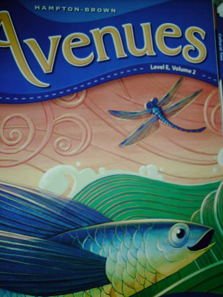 (image for) Avenues Level E TE Volume 2 (TE)(Spiral) by Schifini, Short,