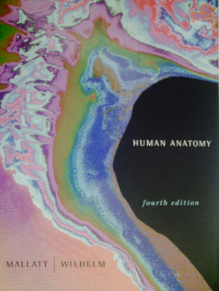 (image for) Human Anatomy 4th Edition (Set) by Marieb, Mallatt, & Wilhelm