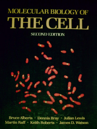 (image for) Molecular Biology of The Cell 2nd Edition (H) by Alberts, Bray