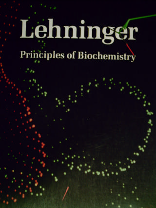 (image for) Principles of Biochemistry (H) by Albert L Lehninger
