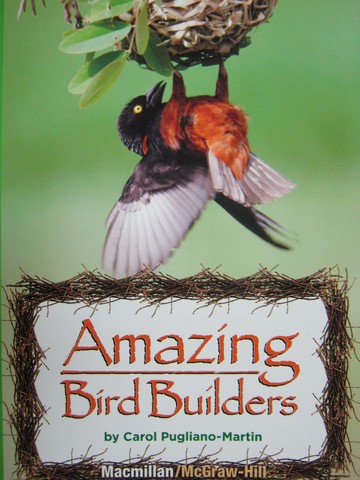(image for) Leveled Reader Library 3 Amazing Bird Builders (P)