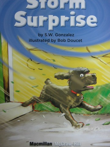 (image for) Leveled Reader Library 3 Storm Surprise (P) by S.W. Gonzalez