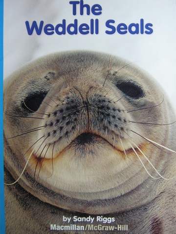 (image for) Leveled Reader Library 3 Weddell Seals (P) by Sandy Riggs