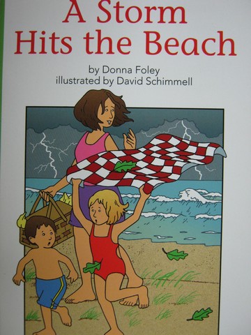(image for) Reading Street 2 A Storm Hits the Beach (P) by Donna Foley