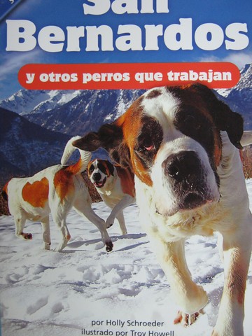 (image for) Calle de la Lectura 2 San Bernardos y otros perros que traba (P)