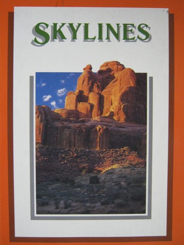 (image for) New Directions in Reading Skylines (P) by Stanchfield & Gunning