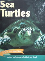 (image for) Soar to Success 6 Sea Turtles (P) by Frank Staub