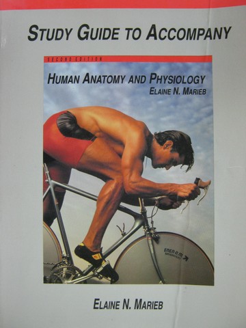 (image for) Human Anatomy & Physiology 2nd Edition Study Guide (P) by Marieb