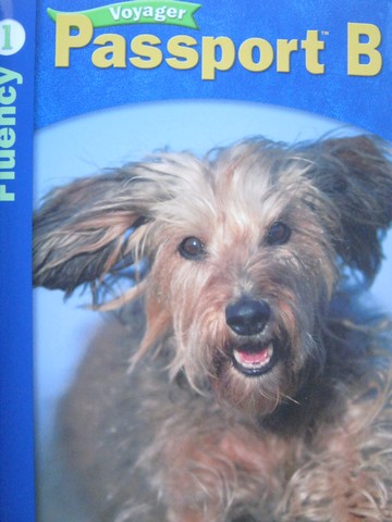 (image for) Voyager Passport B Fluency 1 (P)