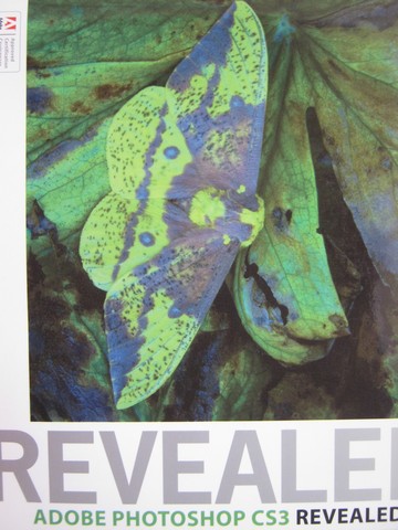 (image for) Adobe Photoshop CS3 Revealed (P) by Elizabeth Reding