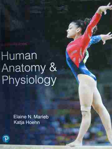 (image for) Human Anatomy & Physiology 11th Edition (H) by Marieb & Hoehn