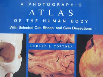 (image for) A Photographic Atlas of the Human Body (Spiral) by Tortora