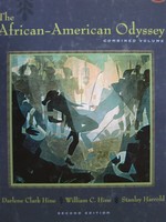 (image for) African-American Odyssey Combined Volume 2nd Edition (H)