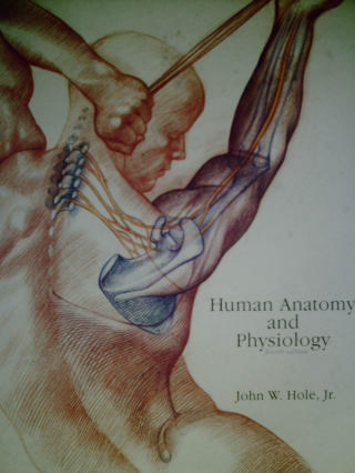 (image for) Human Anatomy & Physiology 4th Edition (H) by Hole, Jr.