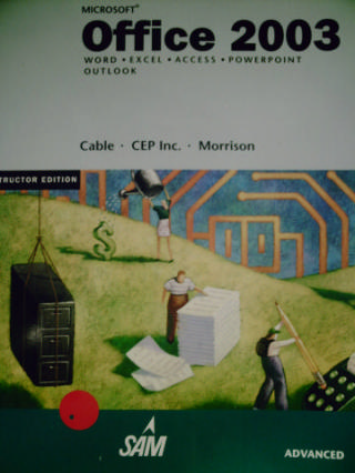 (image for) Microsoft Office 2003 Advanced Word Excel Access Powerpoi(TE)(P)