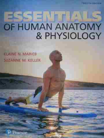 (image for) Essentials of Human Anatomy & Physiology 12th Edition (H) by Marieb & Keller