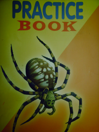 (image for) Spotlight on Literacy 4 Practice Book (P)
