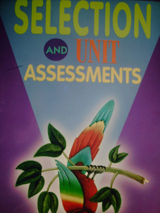 (image for) Cuentamundos 5 Selection & Unit Assessments (P)