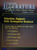(image for) Literature Copper Level Skills Development Workbook (P)