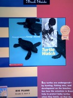 (image for) Book Guide for Turtle Watch (P)