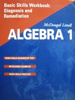 (image for) Algebra 1 Basic Skills Workbook (P)