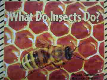 (image for) What Do Insects Do? (P)(Big) by Susan Canizares & Pamela Chanko