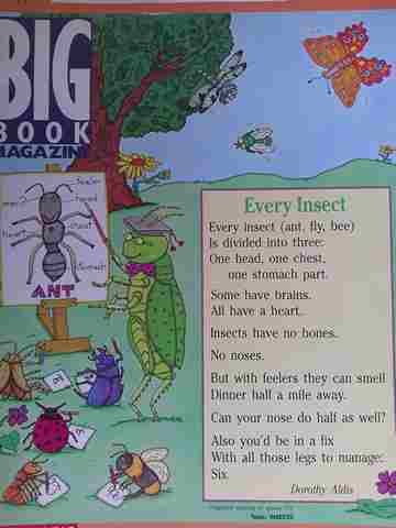 (image for) Big Book Magazine Every Insect (P)(Big) by Mary Pearce