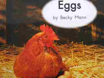 (image for) Leveled Literacy Intervention C.8 Eggs (P)(Big) by Becky Mann