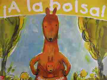 (image for) A la bolsa! K (P)(Big) by David Ezra Stein